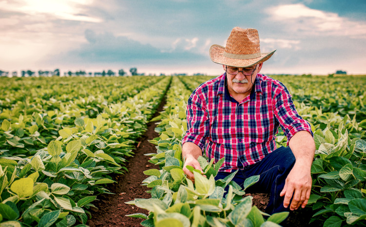 A farmer tends his crops.